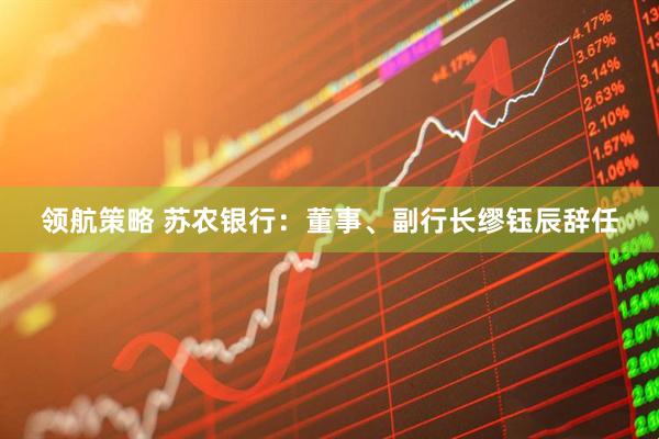 领航策略 苏农银行：董事、副行长缪钰辰辞任