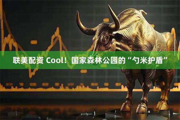 联美配资 Cool！国家森林公园的“勺米护盾”
