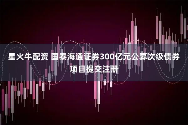 星火牛配资 国泰海通证券300亿元公募次级债券项目提交注册