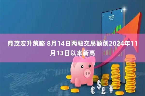 鼎茂宏升策略 8月14日两融交易额创2024年11月13日以来新高