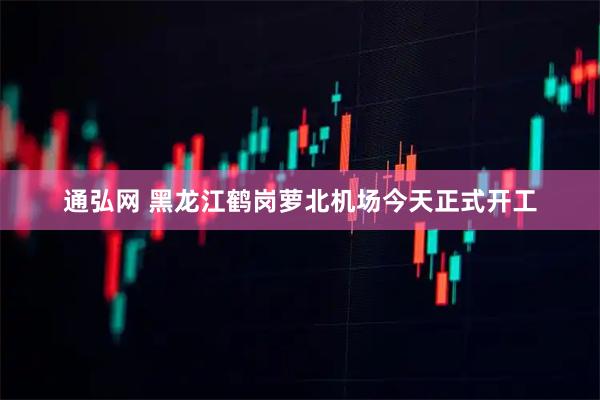 通弘网 黑龙江鹤岗萝北机场今天正式开工